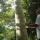 ธ.ก.ส. เริ่มแล้ว ให้สมาชิกธนาคารต้นไม้  ใช้ไม้ยืนต้นเป็นหลักทรัพย์ค้ำประกัน