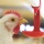 CPFรับรองLR Farm F1rst ย้ำผลิตเนื้อไก่คำนึงถึงหลักสวัสดิภาพสัตว์ สร้างความมั่นคงทางอาหาร