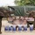 ซีพีเอฟ มอบอาหารช้าง 60 ตัน หนุนโครงการ "คนไทยรักช้าง" ปี 2