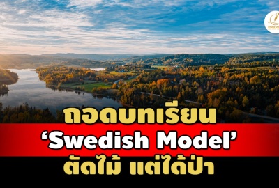 'Swedish Model' ตัดไม้ แต่ได้ป่า ไทย(คิด)เลียนแบบ แต่ยังห่างไกล