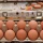 ซีพีเอฟ หนุนรัฐเร่งส่งออกไข่ระบายส่วนเกิน สร้างเสถียรภาพราคาในประเทศช่วยเกษตรกร
