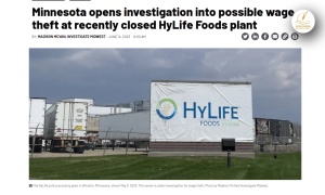 กรมแรงงานฯมินิโซตา สั่งสอบข้อครหาค่าแรง รง.เนื้อสุกร HyLife Foods Windom ก่อนเลิกกิจการ 