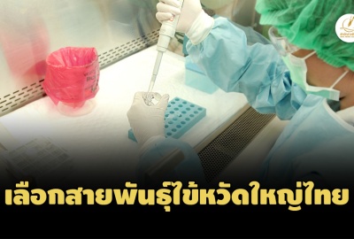 WHO เลือกสายพันธุ์ไข้หวัดใหญ่ไทย ใช้ผลิตวัคซีนป้องกัน ประจำปี 2567