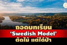 'Swedish Model' ตัดไม้ แต่ได้ป่า ไทย(คิด)เลียนแบบ แต่ยังห่าง ...