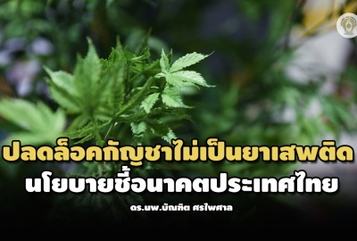 ปลดล็อคกัญชาไม่เป็นยาเสพติด นโยบายชี้อนาคตประเทศไทย