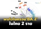 ศูนย์จีโนมฯพบโอไมครอนสายพันธุ์ย่อย BA.2 ในไทย 2 ราย ชี้อาจแพ ...