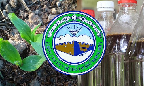 27ธค62 A ten5
