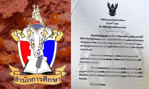 picpaererer0518 12 19