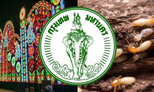 picpppahahahahaah4 1 20