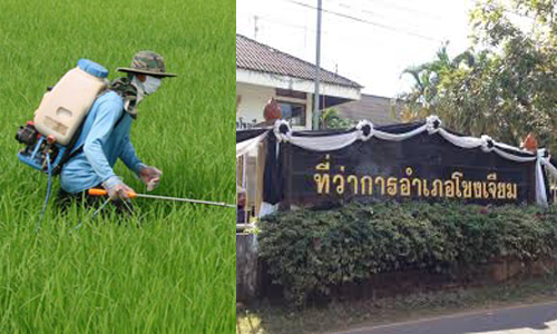 picsannndrsrdsd11 12 19