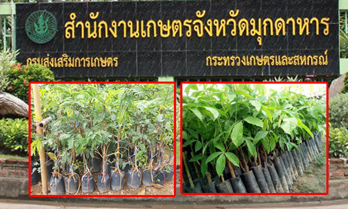 pictreeeeeeee31 12 19