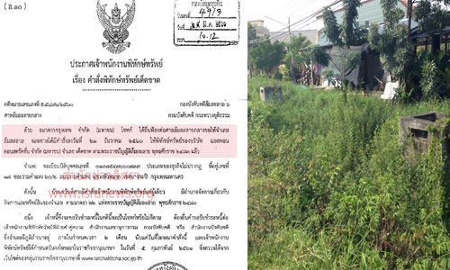 picaadddcoa02dddd28 6 19