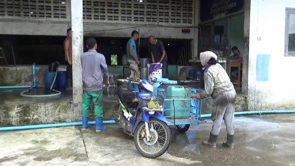 72323061 1396338663857142 2148882961229938688 n