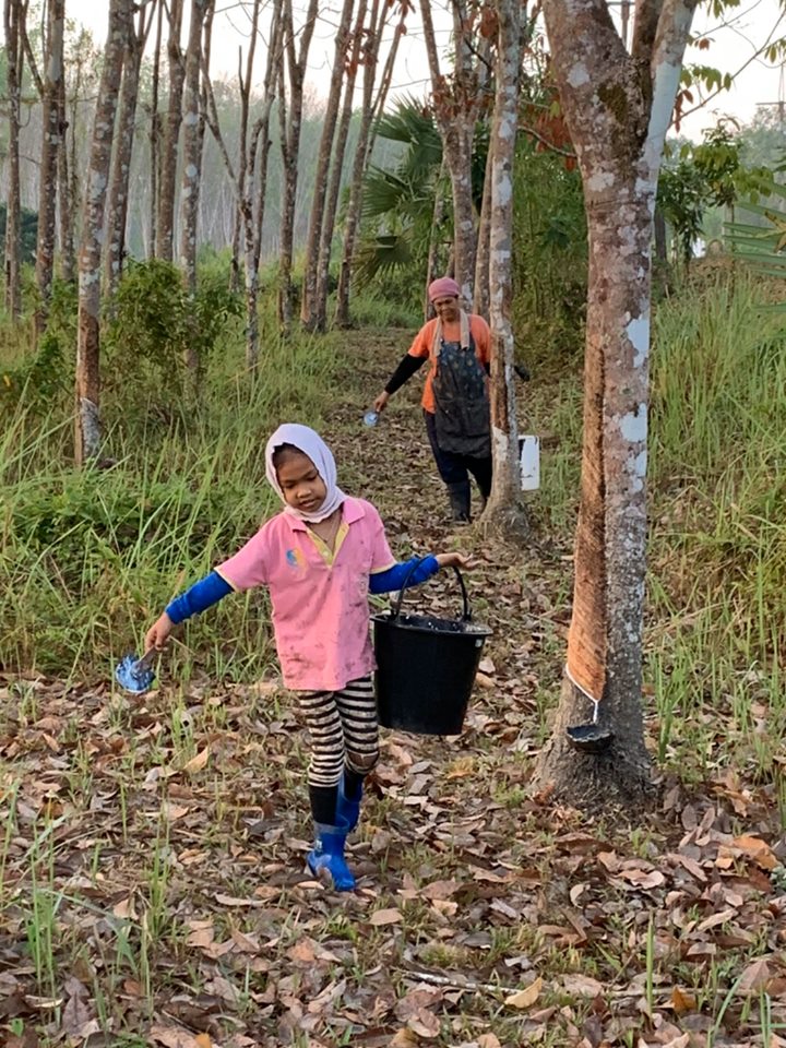 72377917 428039867715225 1454511260568649728 n