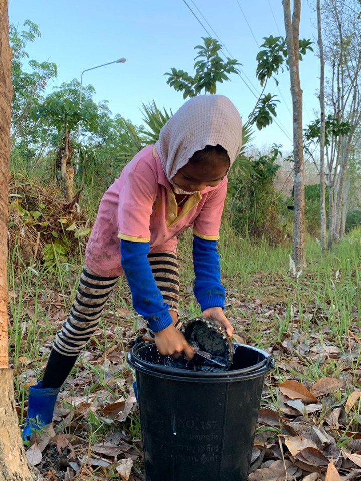 72446552 593748234757783 6516157079630118912 n