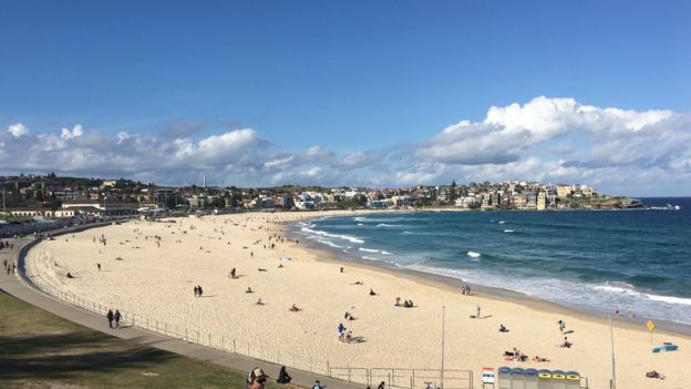  109132238 img 4890 1