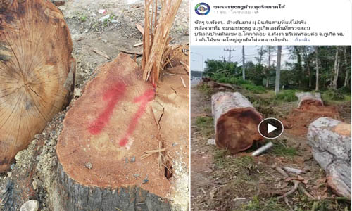 picdkdkdkddddddkddsds