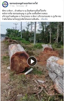 picdkdkdkdkdkddsdsds