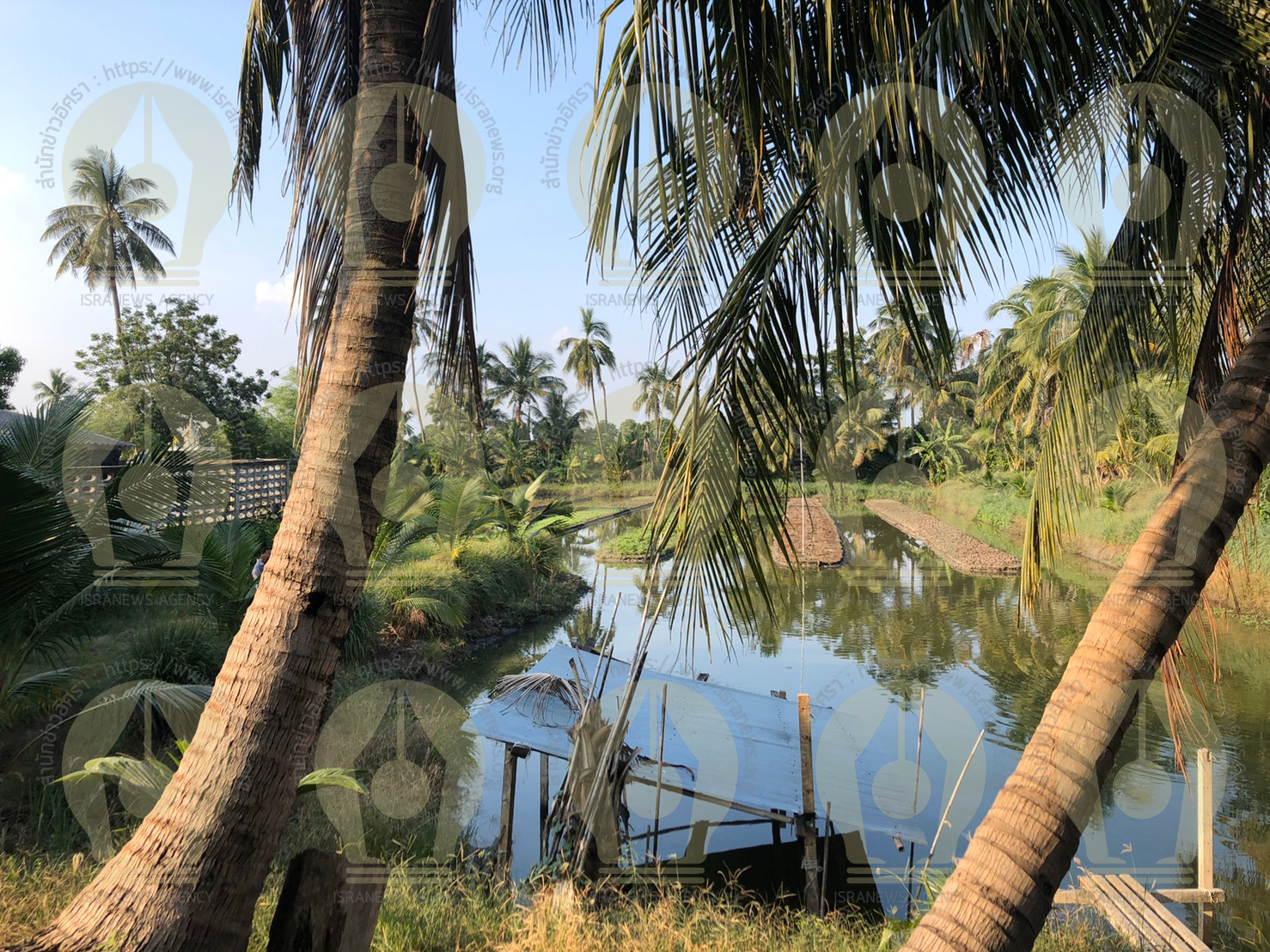 PIC บานศกดดา 4