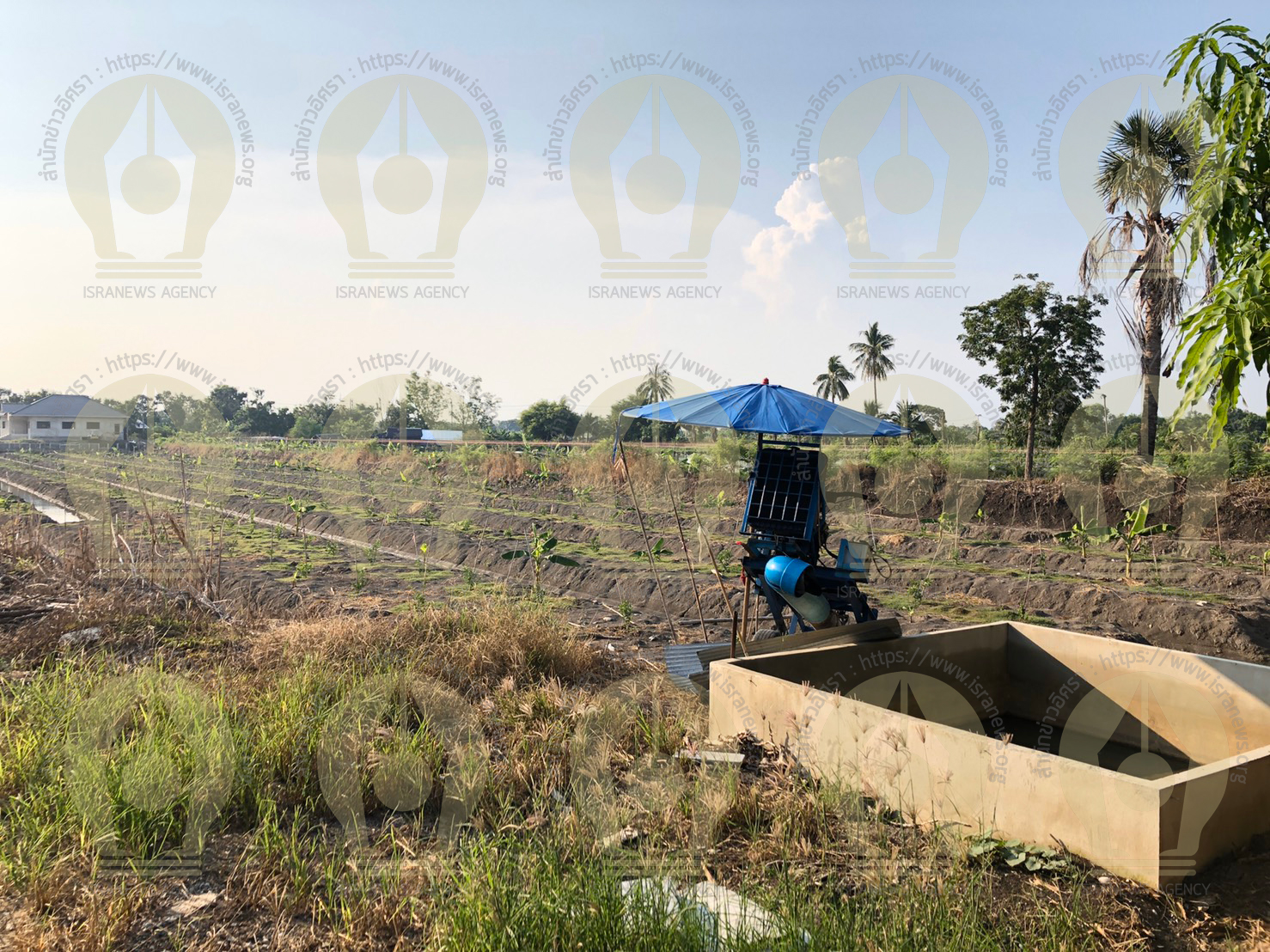 PIC บานศกดดา 5