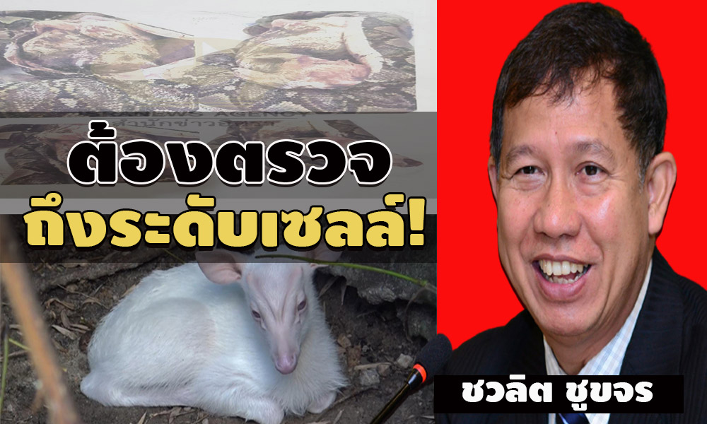 picdsdsdasdadadasdsasda10 7 63