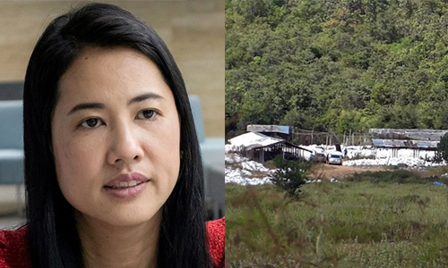 PIC farmchickenpareena 6 12 62 11