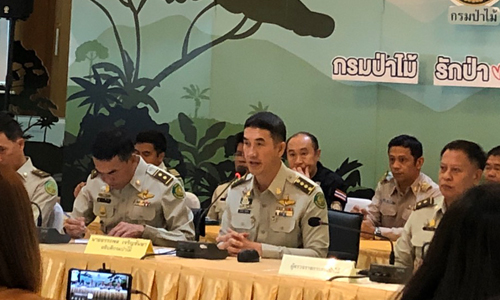 PIC pareenaforest 2 12 62 1