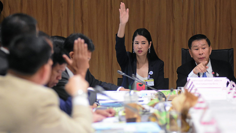 PIC บคคลแหงป 6