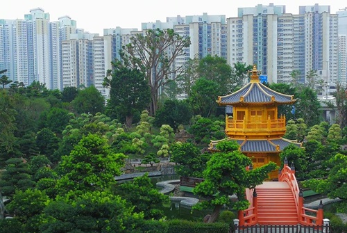 hongkok2611