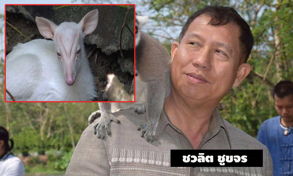 pickddsdsdsdsdsdsd 2 9 63