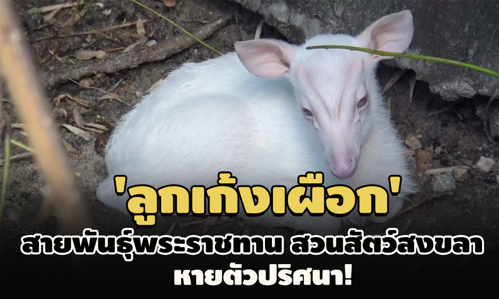 picppetryfffdfdfdfdfdfddf1 10 63