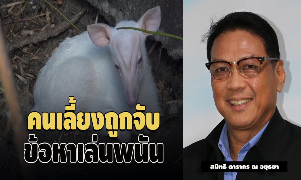 piczoosongka000028 11 63