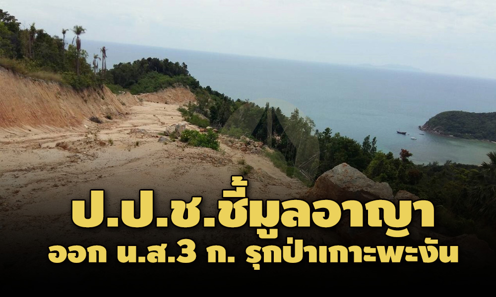 picland0696363316 12 63