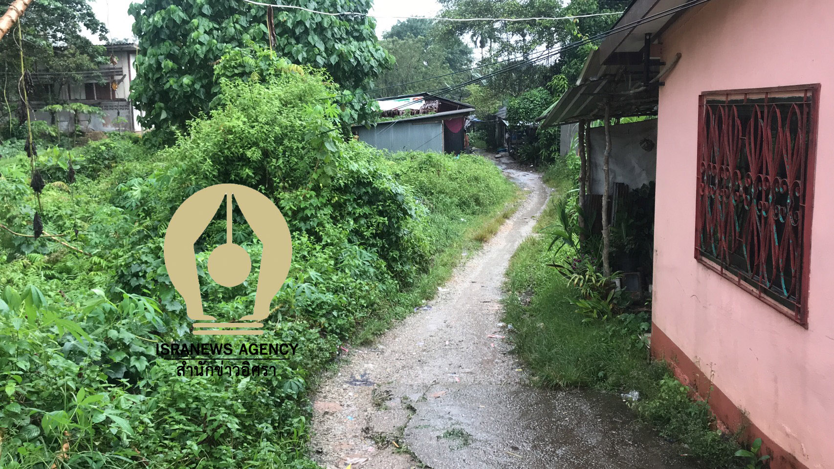 picpoiyhtgtgtgtgtgtg0012 21 63