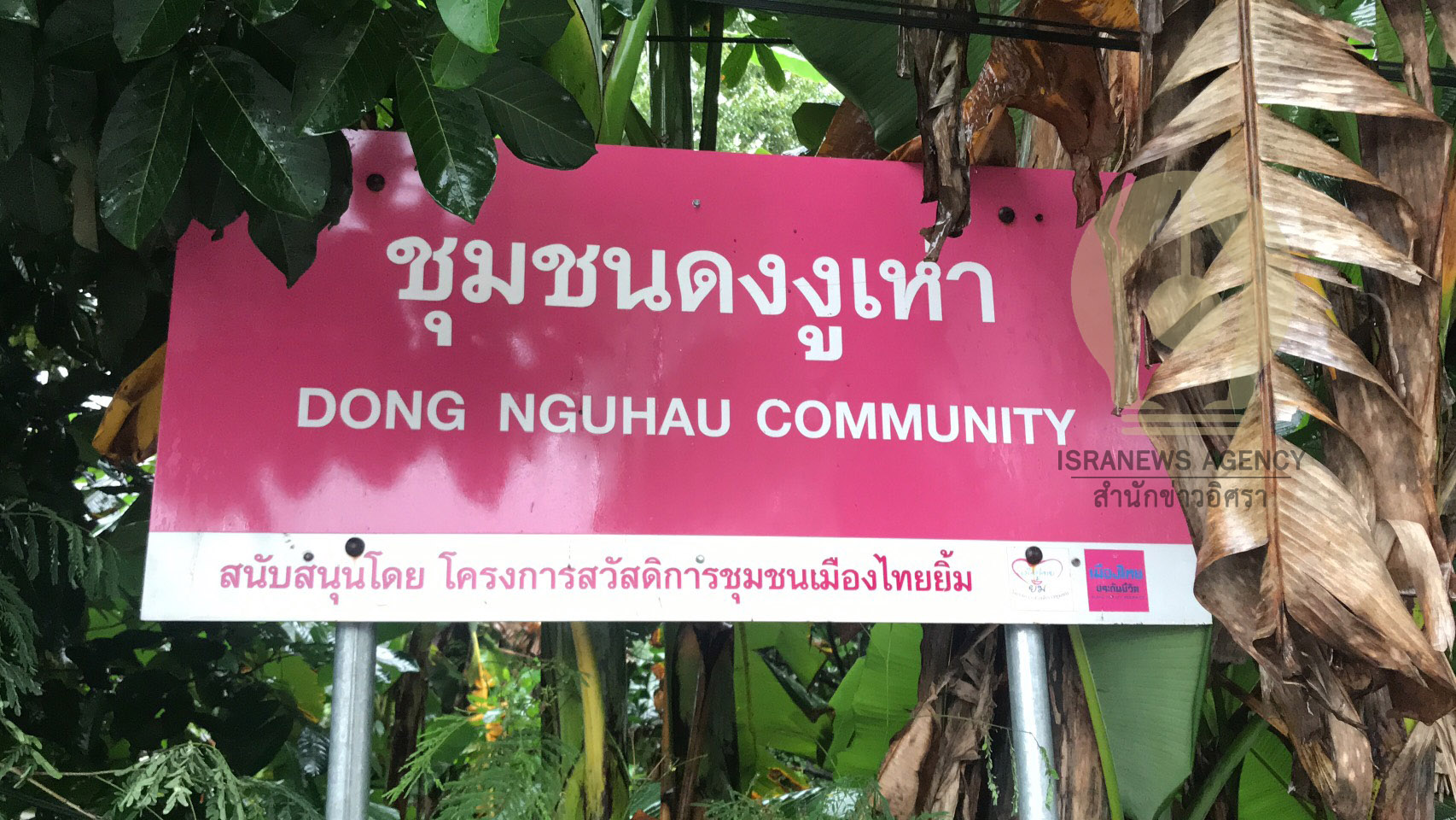 picpoiyhtgtgtgtgtgtg0096312 21 63