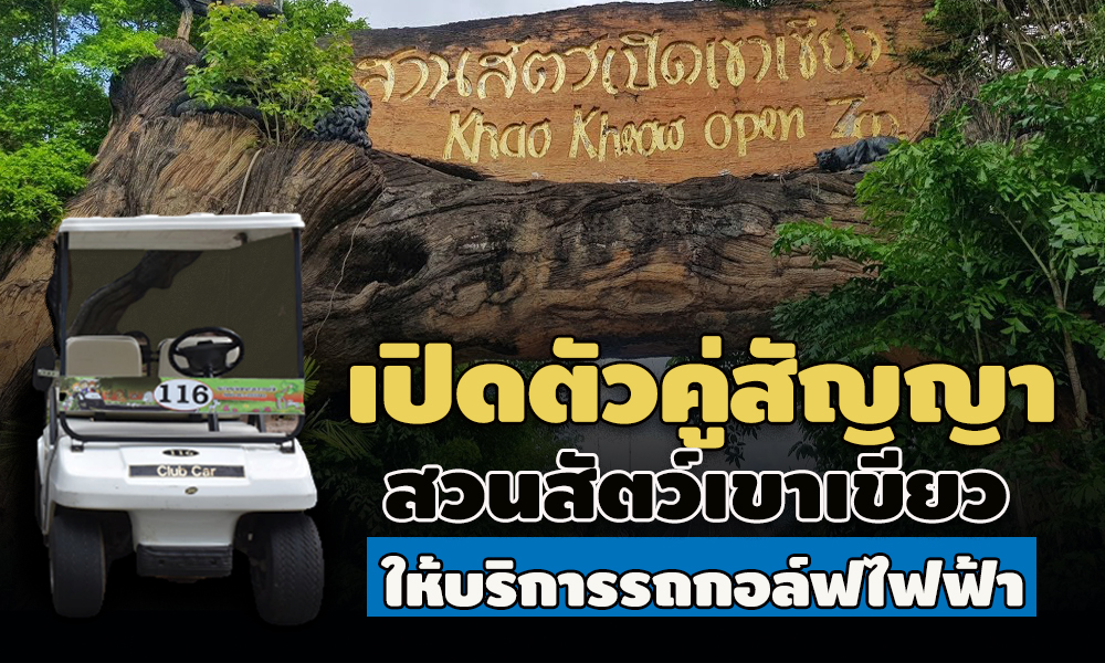 piczoogreen006930031 12 63