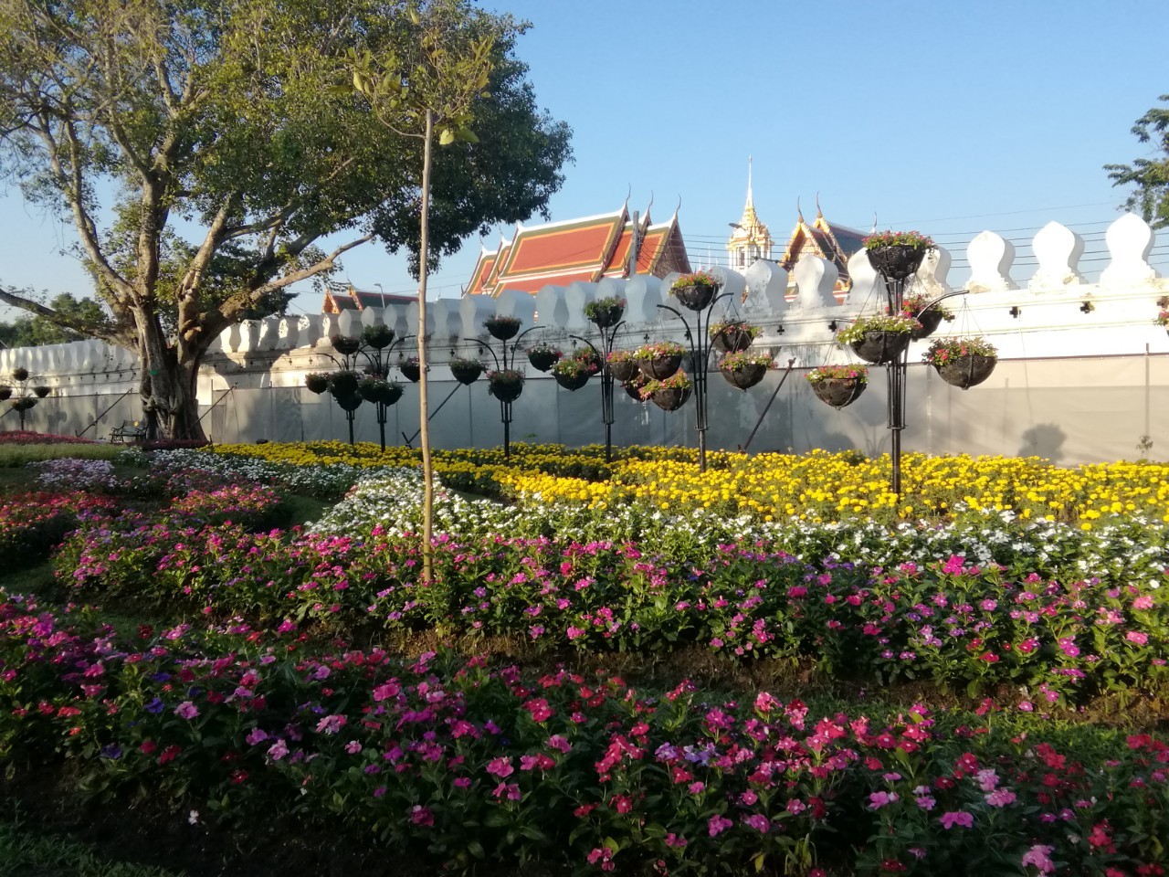 สวนดอกไม้ ป้อมมหากาฬ ๒๐๑๒๒๐ 1