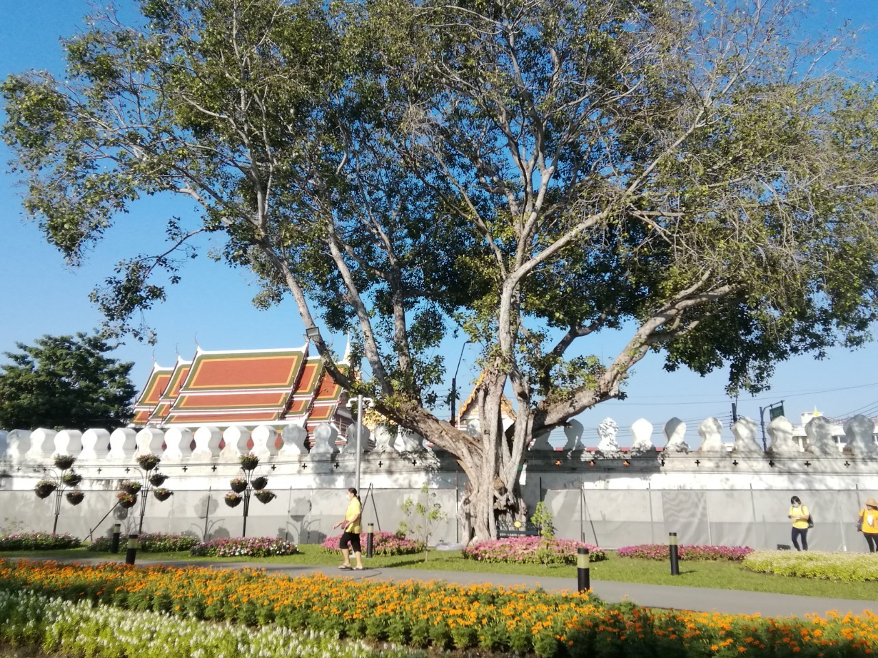 สวนดอกไม้ ป้อมมหากาฬ ๒๐๑๒๒๐ 2