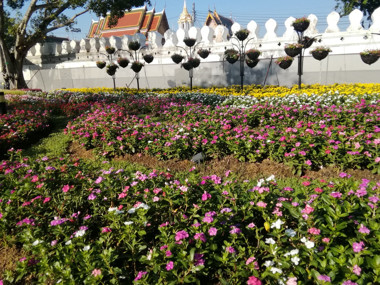 สวนดอกไม้ ป้อมมหากาฬ ๒๐๑๒๒๐ 4