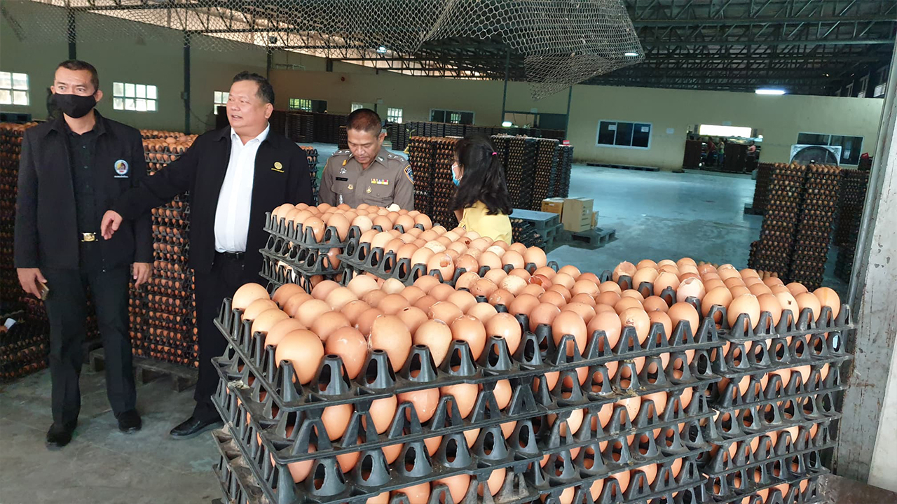 dFQROr7oWzulq5FZUErZpUAmLfwZ3s4e0RxI3508bzG8YsPCQsOq68g0reOEhbvYult