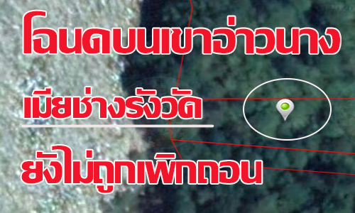 picland33cddddddccc3n7 4 63