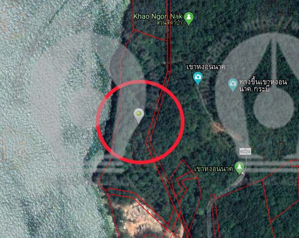 picmkiiiiiiii0019 2 19