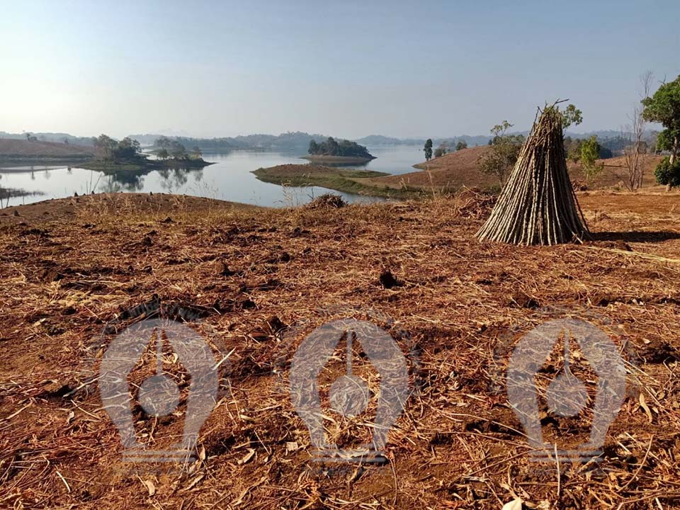 picpisisisis06ddddddddd6215 2 63