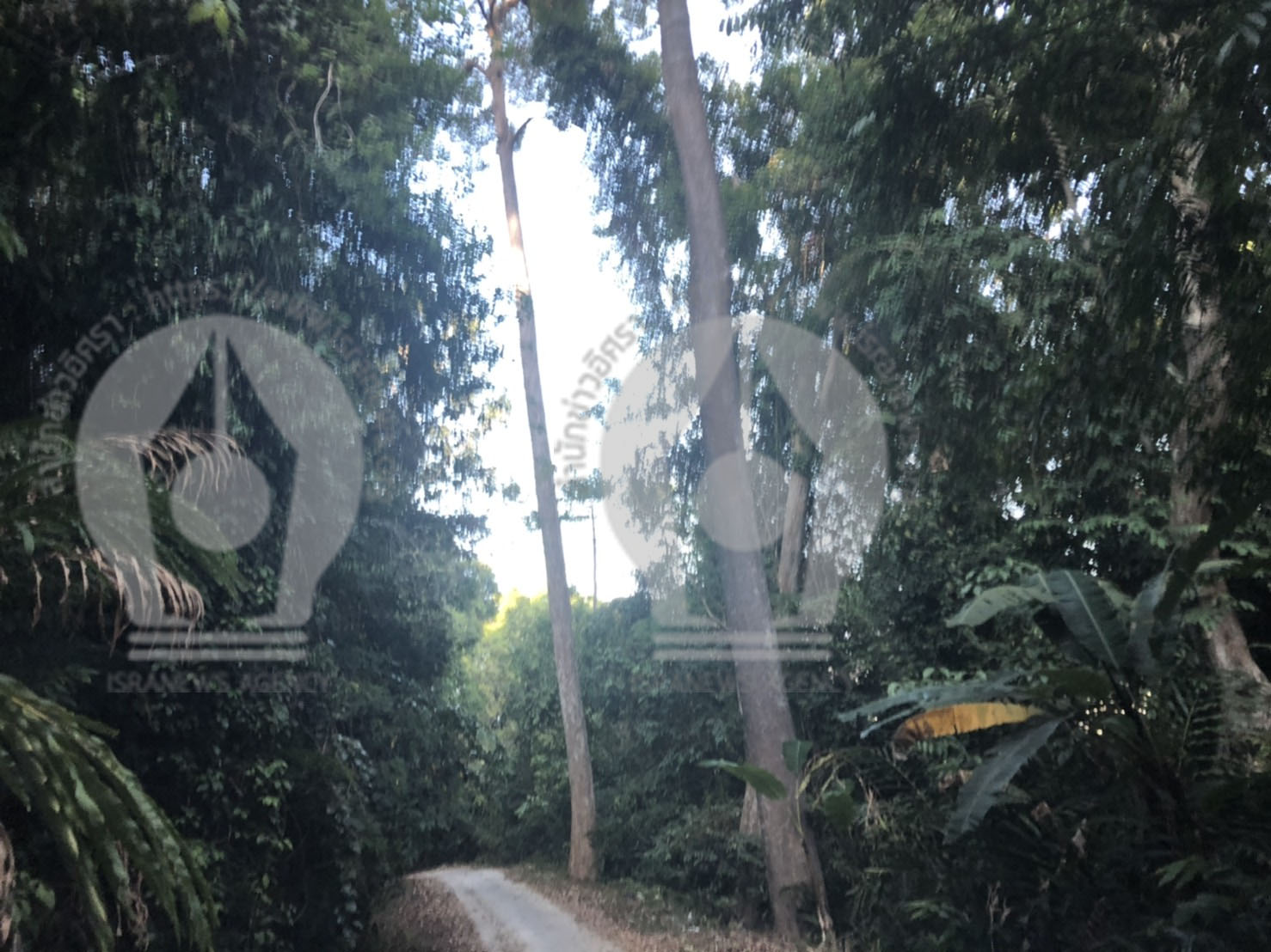 pictrananananananana6639 3 63