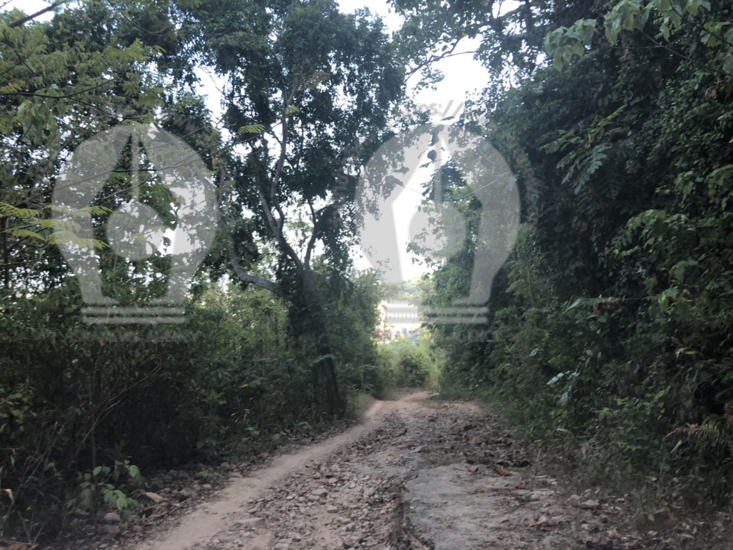 pictrananananananancccca6639 3 63