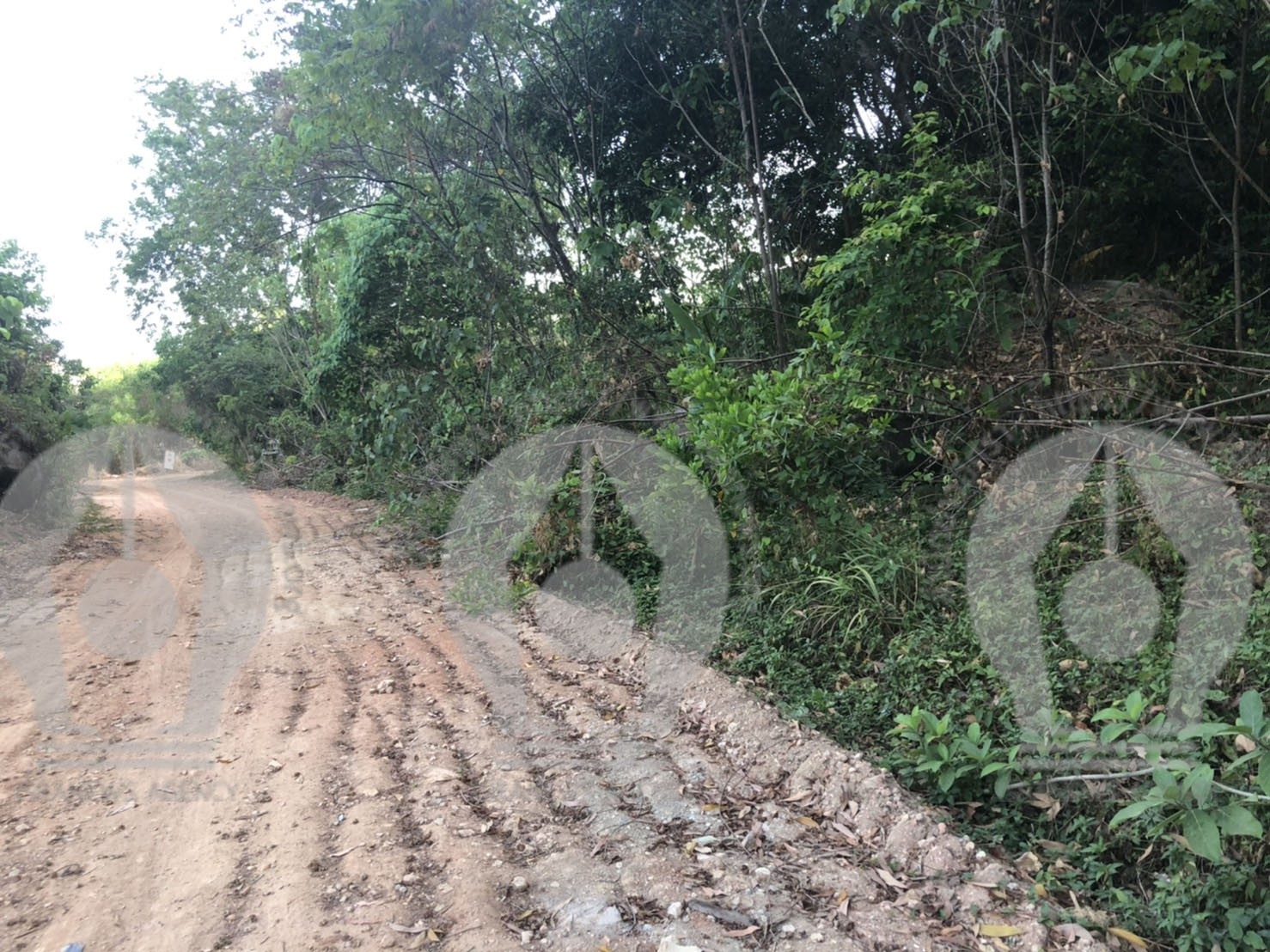 pictranananananccccanana9 3 63