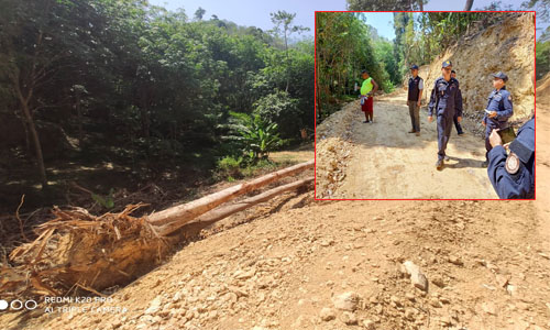 pictreeeee000195 3 63