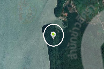 pictreeeeeee0018 3 63