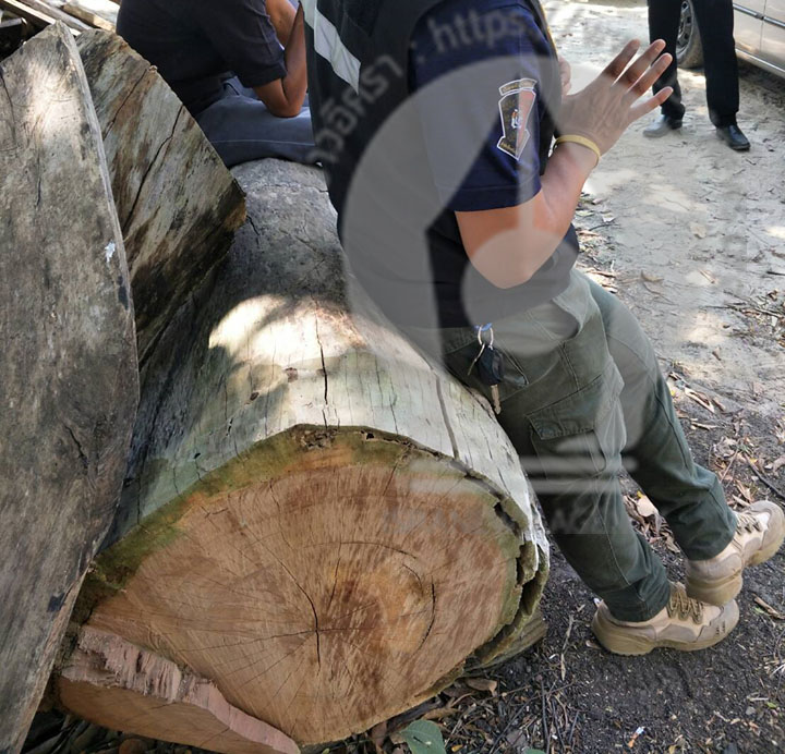 pictreeeeeee003 3 16