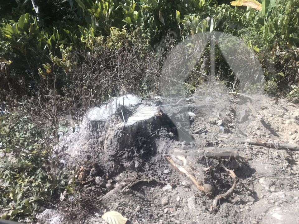 pictreeeeeee023 3 16